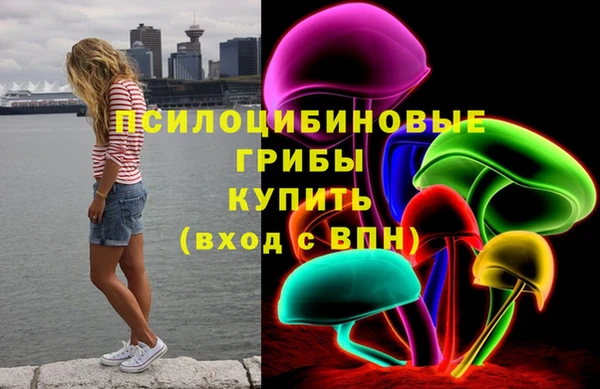 скорость Бородино